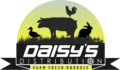 daisys logo