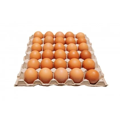 farm fresh eggs large